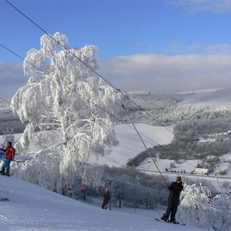 Penzion Malovany Osvetimany Buitenkant foto