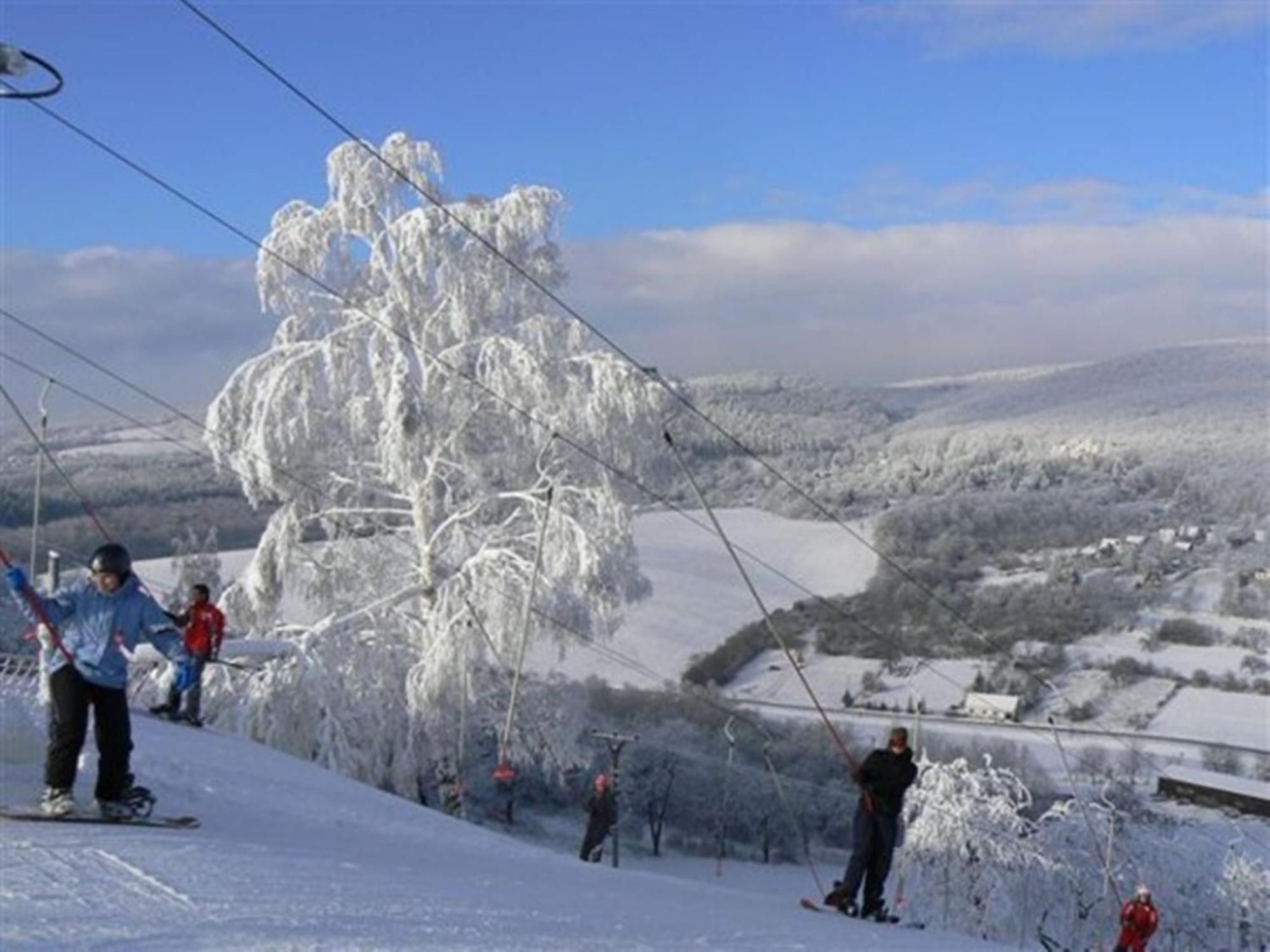 Penzion Malovany Osvetimany Buitenkant foto
